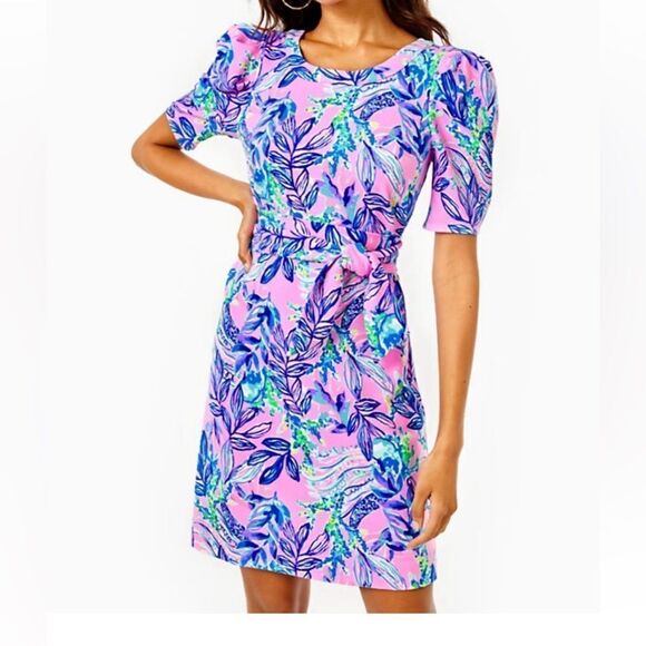 NWT Sold Out Online The Harriet Dress SZ XL Retail $158 - Picture 2 of 7